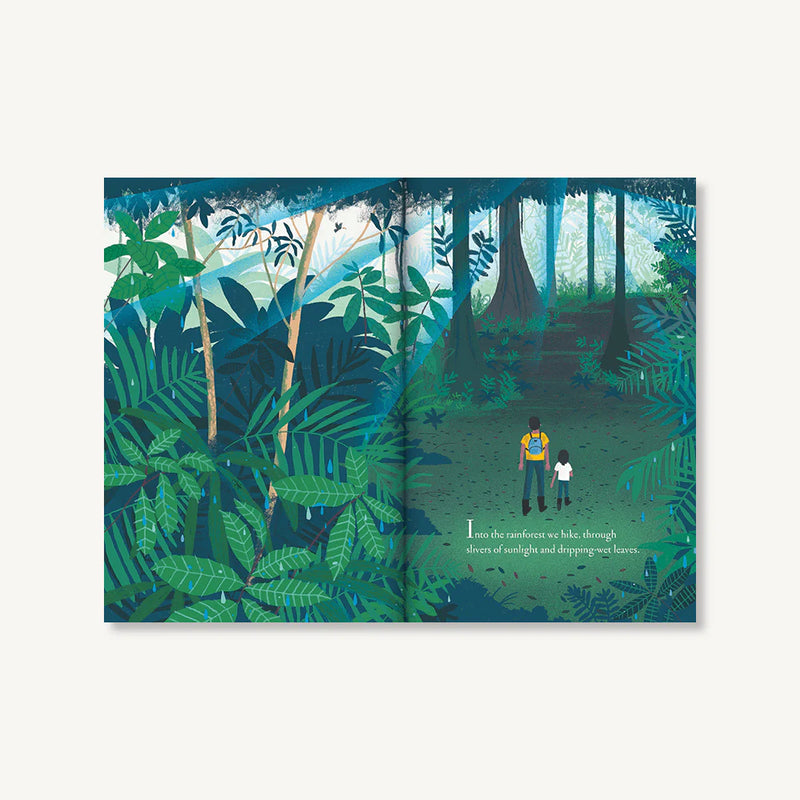 Over and Under the Rainforest
sample pages