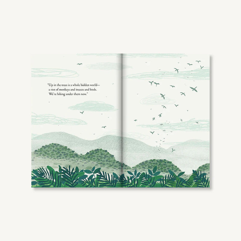 Over and Under the Rainforest
sample pages