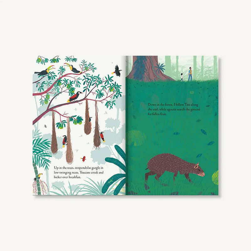 Over and Under the Rainforest
sample page