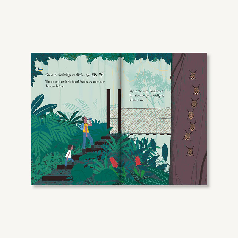 Over and Under the Rainforest
sample pages