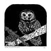 Saw-Whet Owl Linoprint closeup