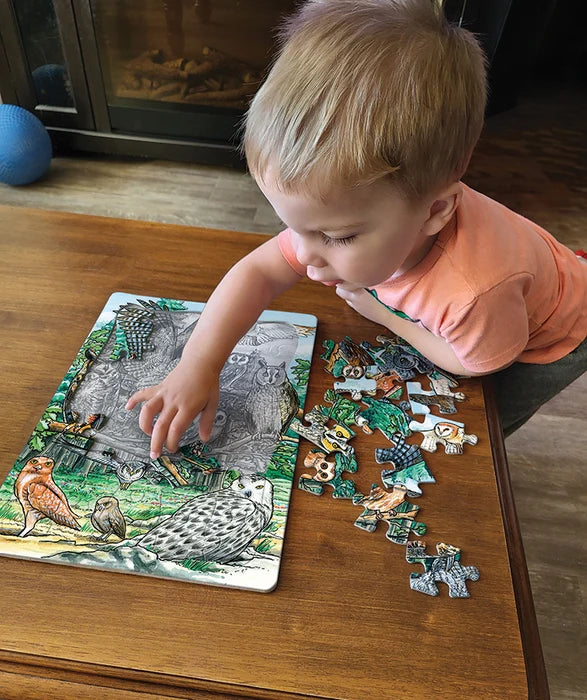Cobble Hill North American Owl 35 Piece Tray Puzzle