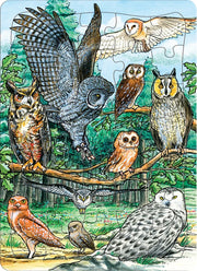 Cobble Hill North American Owl 35 Piece Tray Puzzle