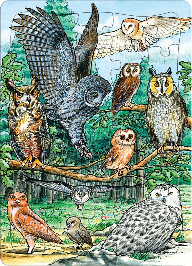 Cobble Hill North American Owl 35 Piece Tray Puzzle