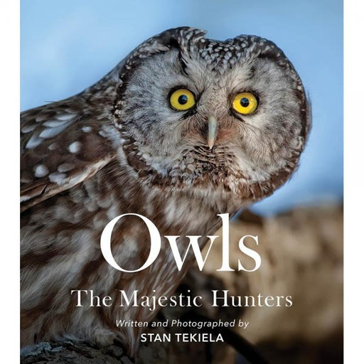 Owls The Majestic Hunters