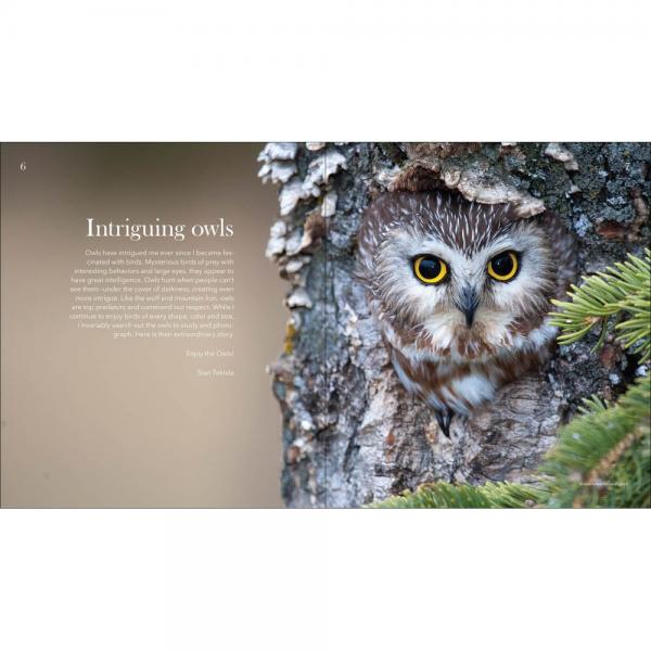 Owls The Majestic Hunters - sample page
