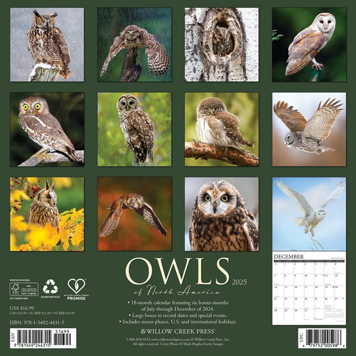 Owls 2025 Wall Calendar back cover