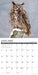 Owls 2025 Wall Calendar sample page