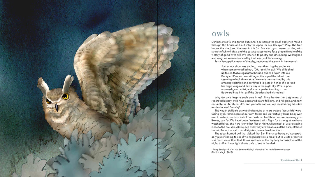 Owls: The Paintings of Jeannine Chappell  sample pages