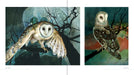 Owls: The Paintings of Jeannine Chappell - sample pages