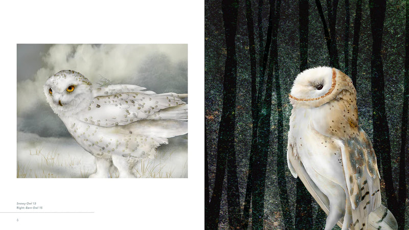 Owls: The Paintings of Jeannine Chappell - sample pages