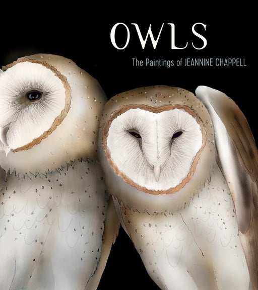 Owls: The Paintings of Jeannine Chappell - cover