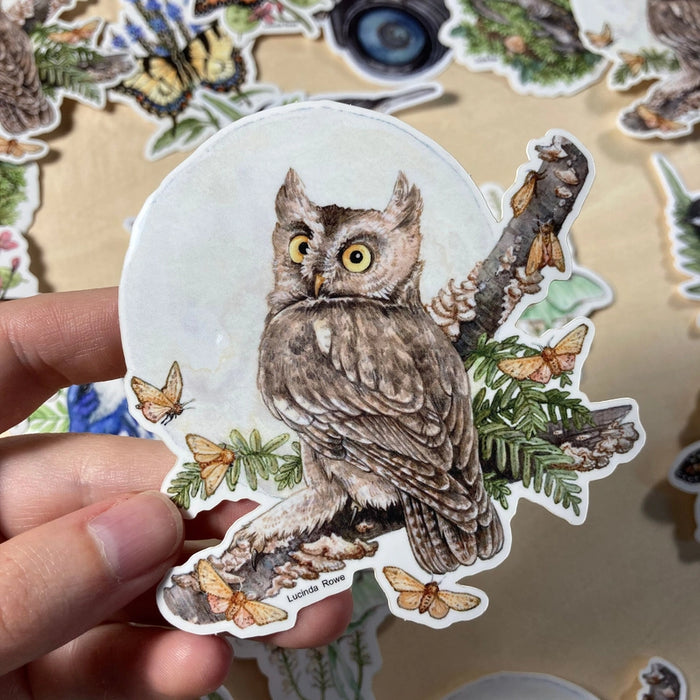 Vinyl Sticker - Screech Owl with Moths