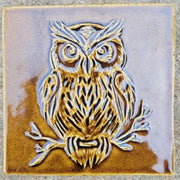 Owl Tile - 6 x 6 inches
Amber