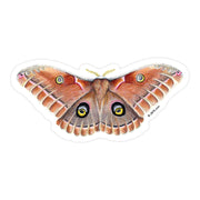 Polyphemus Moth Vinyl Sticker
