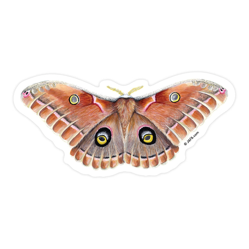 Polyphemus Moth Vinyl Sticker