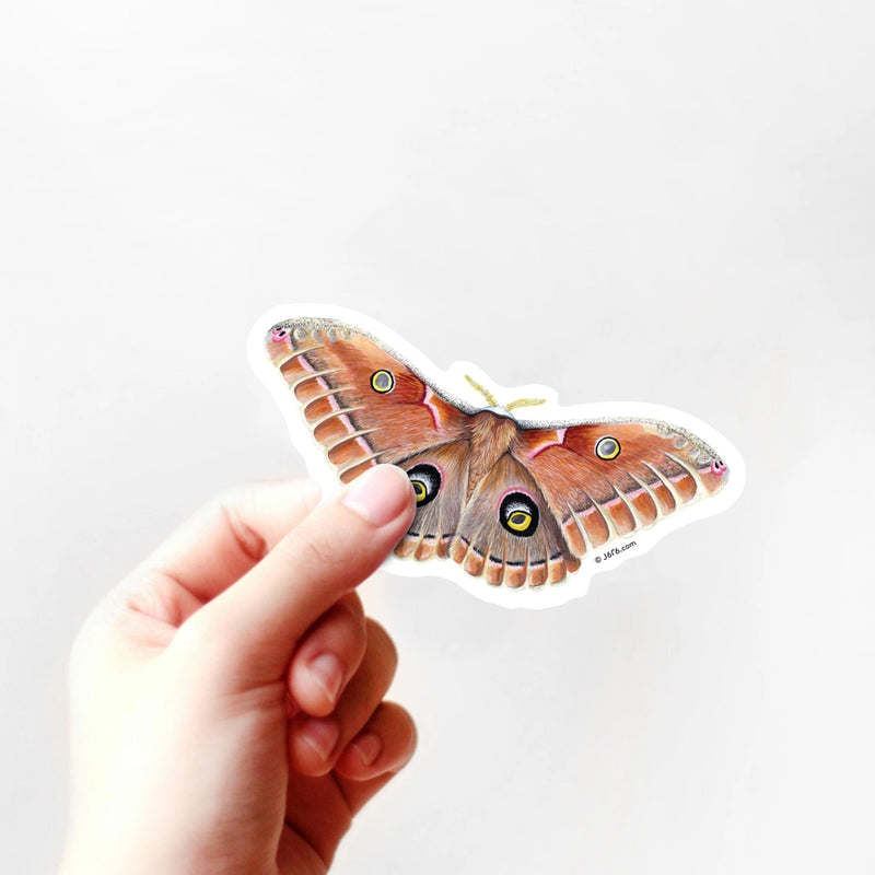 Polyphemus Moth Vinyl Sticker