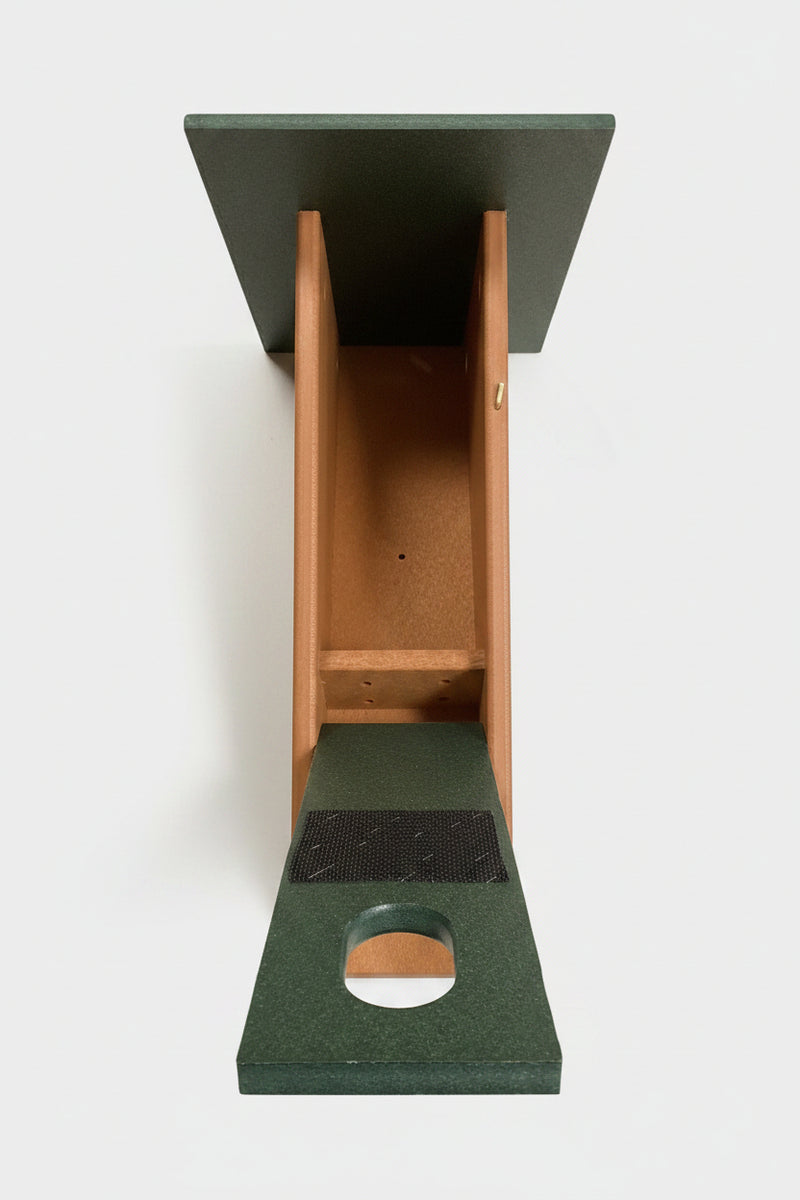 Peterson bluebird house - lowered front panel, view 2