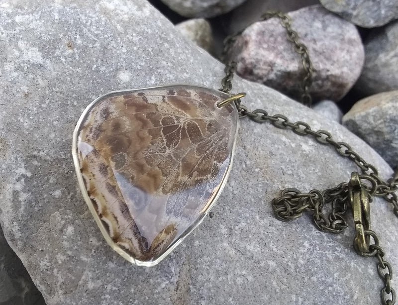 Painted Lady Butterfly Wing