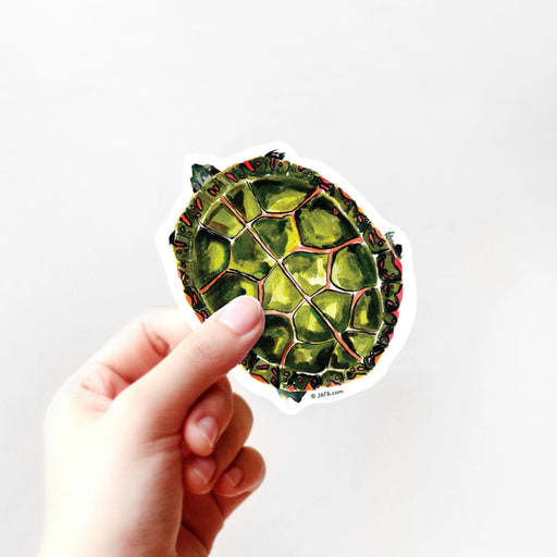 Painted Turtle Vinyl Sticker