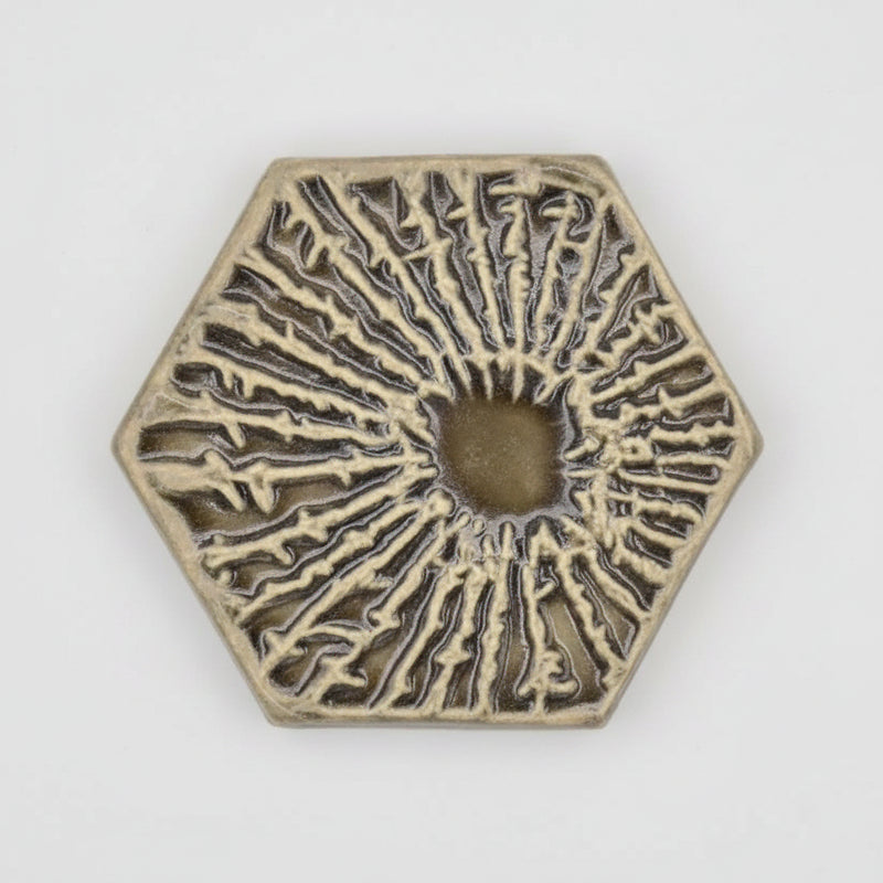 Petoskey Stone Eye Hexagon Tile