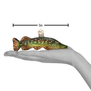 Pike Ornament
with measurements
