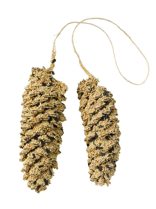 Pine Cone Pair Seed Ornaments