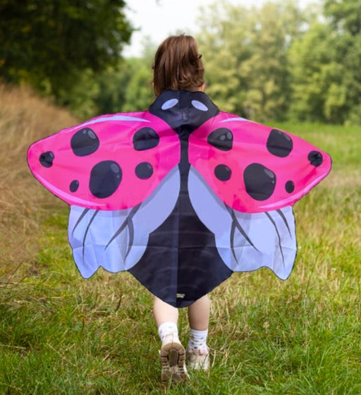 Dress-Up Ladybug Wings
pink