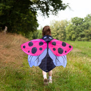 Dress-Up Ladybug Wings
pink 