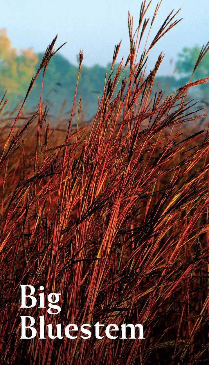 Pollinator Garden Planning Deck
picture side of card