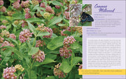 Native Plant Gardening For Birds, Bees & Butterflies: Upper Midwest sample pages