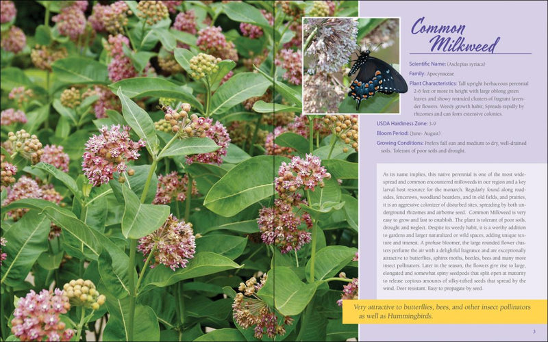 Native Plant Gardening For Birds, Bees & Butterflies: Upper Midwest sample pages