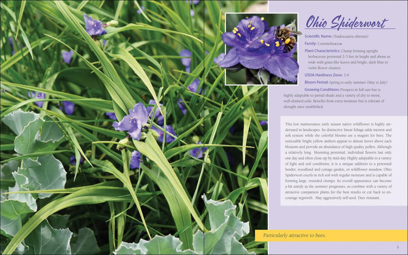Native Plant Gardening For Birds, Bees & Butterflies: Upper Midwest sample pages