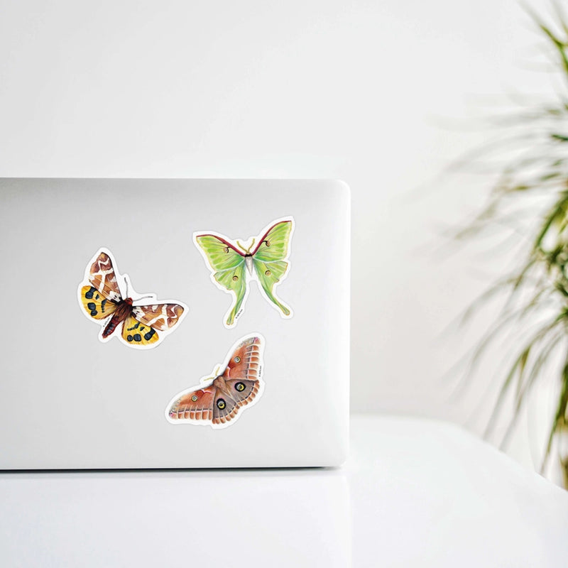 Polyphemus Moth Vinyl Sticker in use