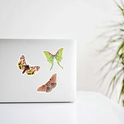 Luna Moth Vinyl Sticker in use