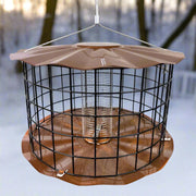 Hanging bird feeder with wire cage on a winter background