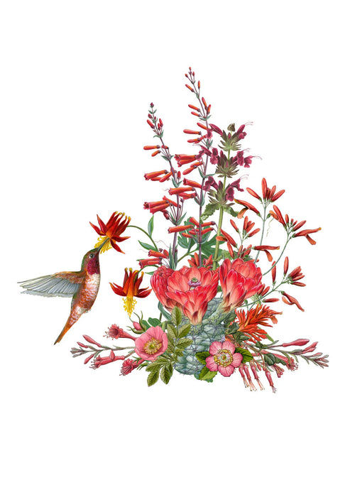 Erin E. Hunter: Pollinators Boxed Notecard Assortment -  California Wildflowers in Red, 2021 