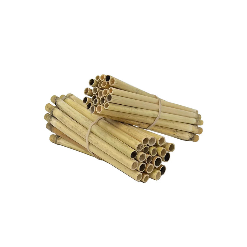 Pollinator Pack for Wild Bees - 40ct