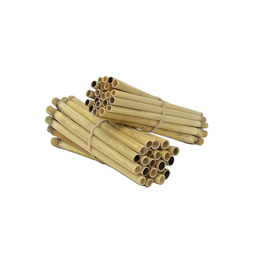 Pollinator Pack for Wild Bees - 40ct