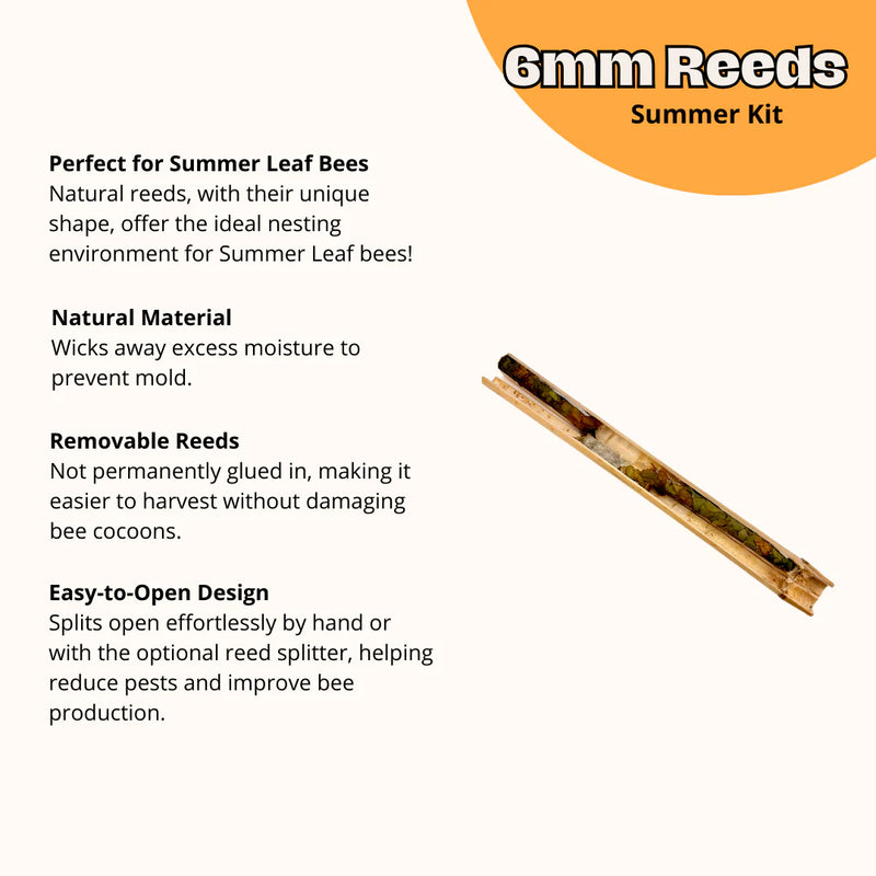 Pollinator Pack for Wild Bees - 40ct