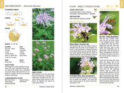 Pollinators of Nature Plants
sample pages