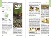 Pollinators of Nature Plants
sample pages