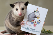 birthday card held by a opossum