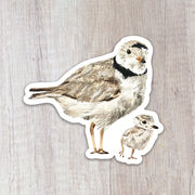 Piping plover sticker and her chick 