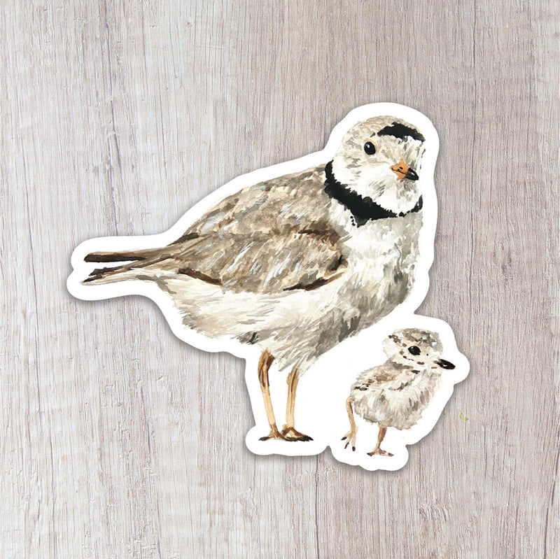 Piping plover sticker and her chick 