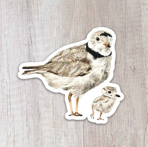 Piping plover sticker and her chick 