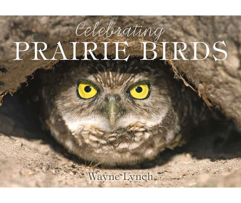 A Celebration of Prairie Birds