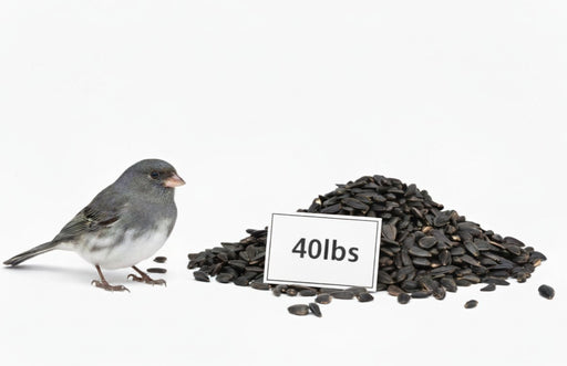 Premium Black Oil  Sunflower Seed - 40lb bag