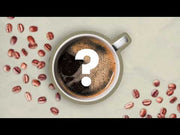 Birds & Beans video