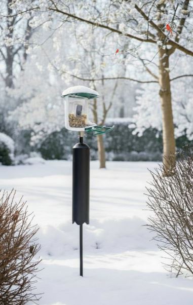 Beakview Bird feeder on a baffled pole system in a snowy landscape with trees and bushes.